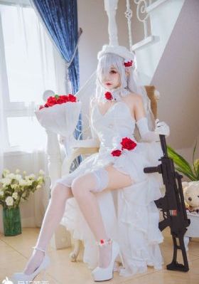 乘龙赘婿