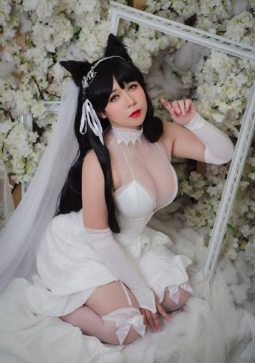 女人与公人强伦轩