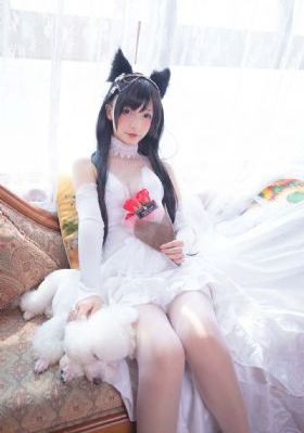 新网球王子ova
